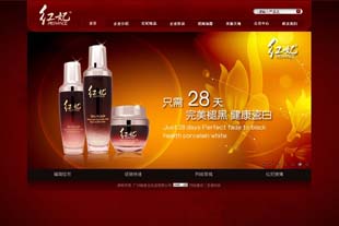 广州皓泉化妆品有限公司网站建设项目